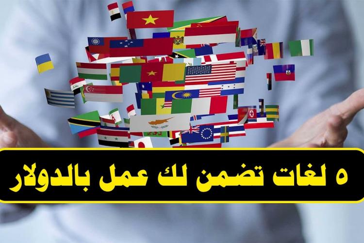 اللغات المطلوبة فى سوق العمل المصرى